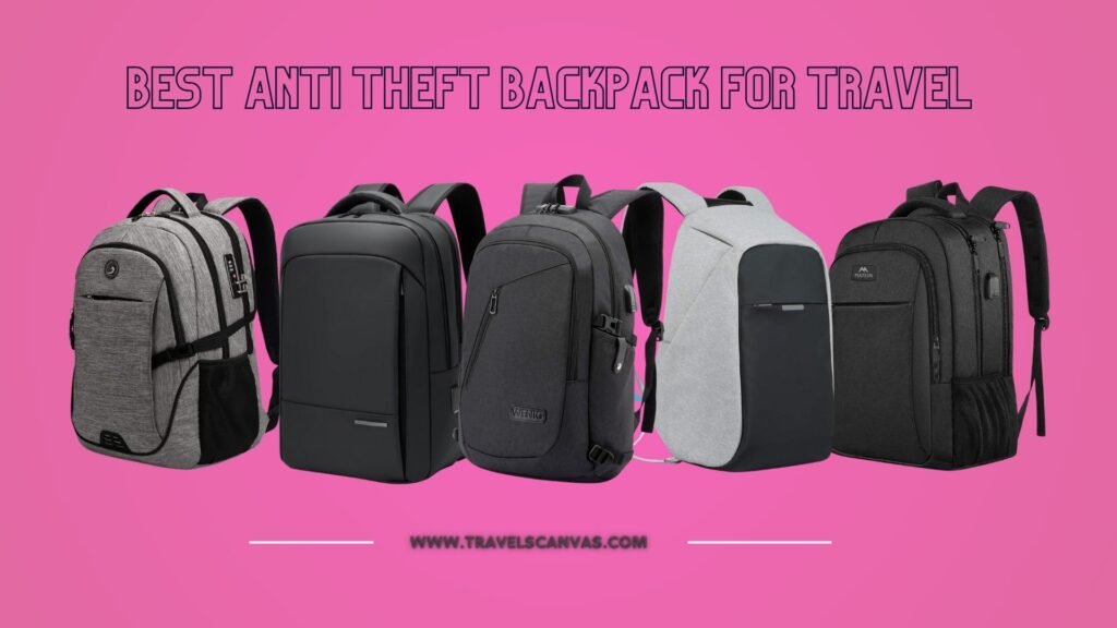 best anti theft backpack for travel (1)