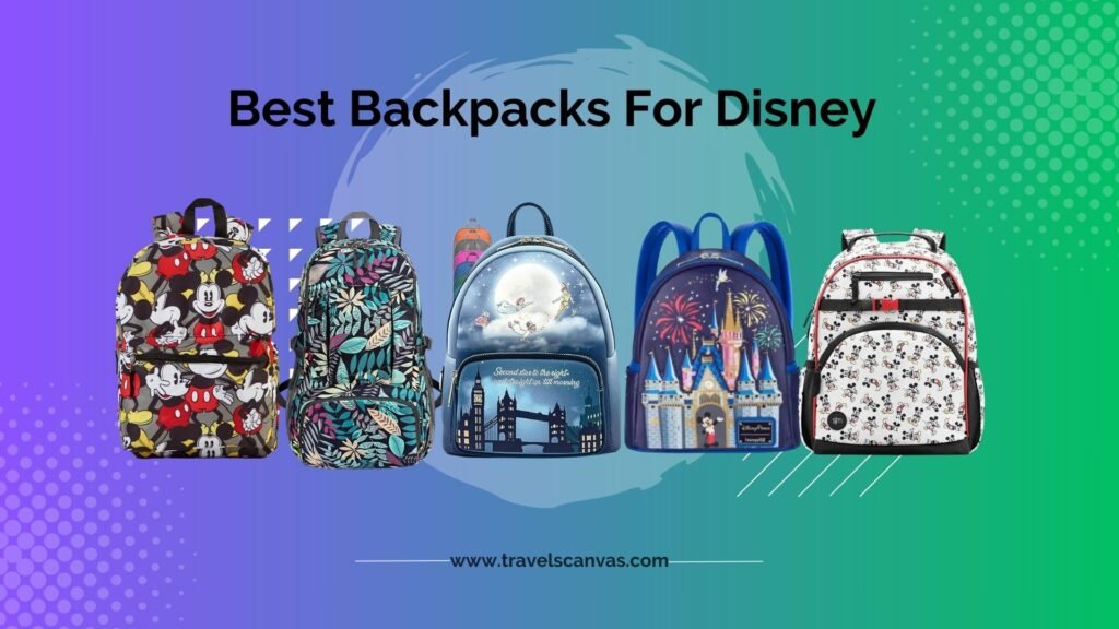 best backpacks for disney
