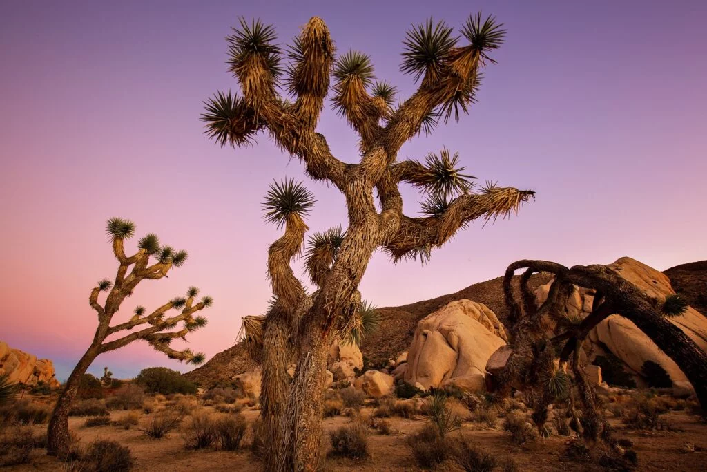 best places to visit on the west coast of america