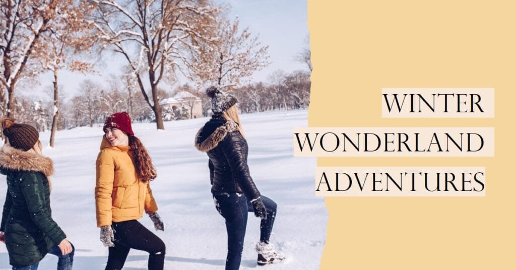 places to visit in minnesota in winter