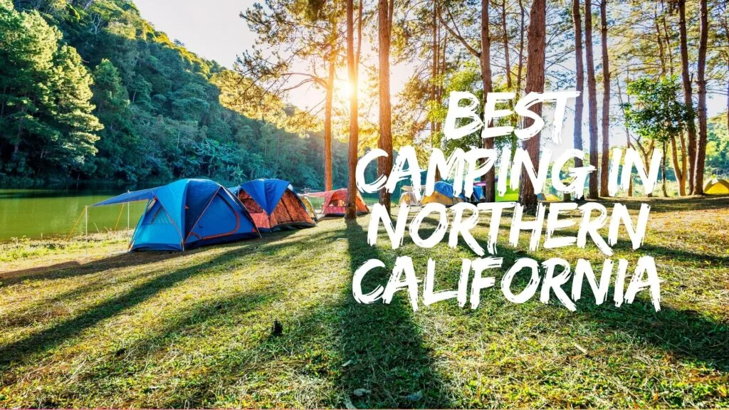 best camping in northern california