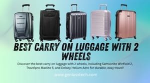 best carry on luggage 2 wheels